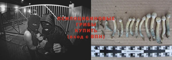 Альфа ПВП Дмитровск
