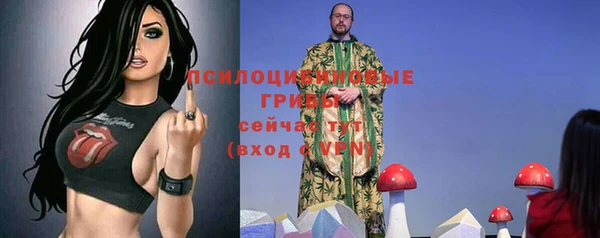 ГАЛЛЮЦИНОГЕННЫЕ ГРИБЫ Дмитров