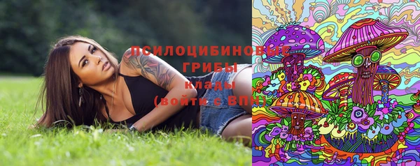 Альфа ПВП Дмитровск