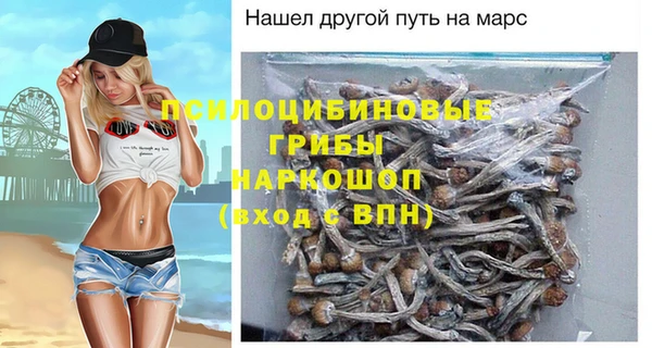 индика Анжеро-Судженск