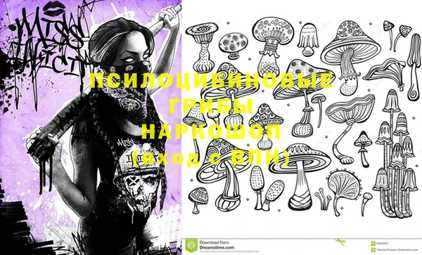 ГАЛЛЮЦИНОГЕННЫЕ ГРИБЫ Дмитров