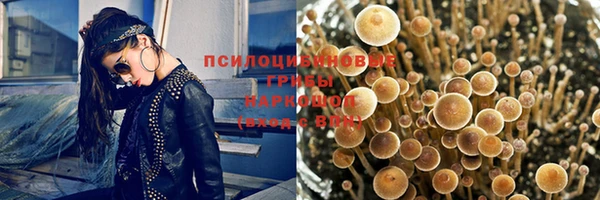 ГАЛЛЮЦИНОГЕННЫЕ ГРИБЫ Дмитров