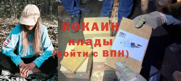 ГАЛЛЮЦИНОГЕННЫЕ ГРИБЫ Дмитров